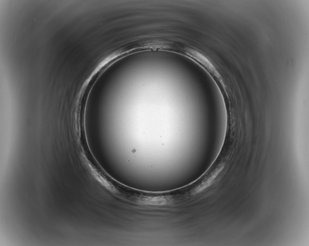 X0000087580843200704271304