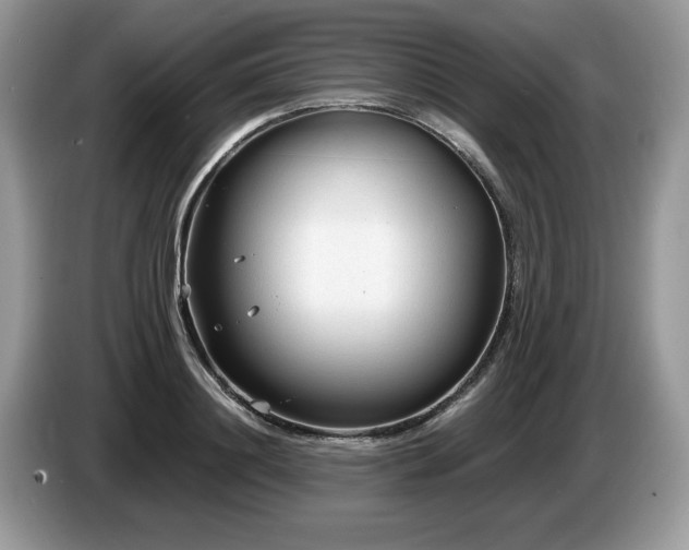 X0000087580844200704271304