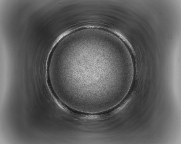 X0000087580845200704271304