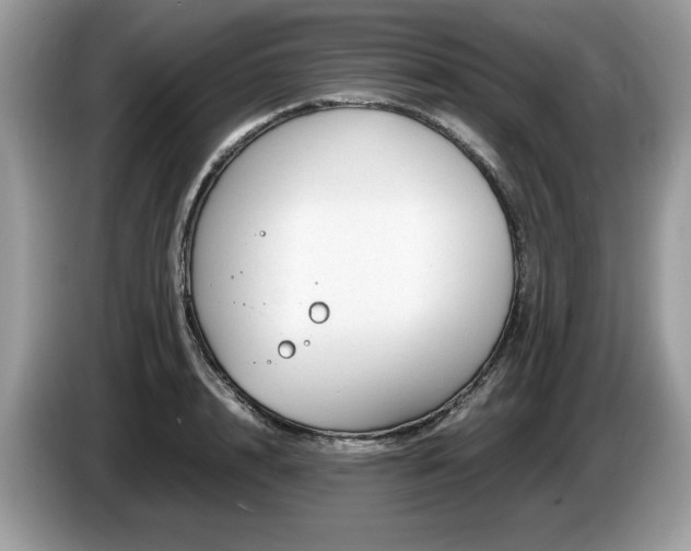 X0000087580848200704271304