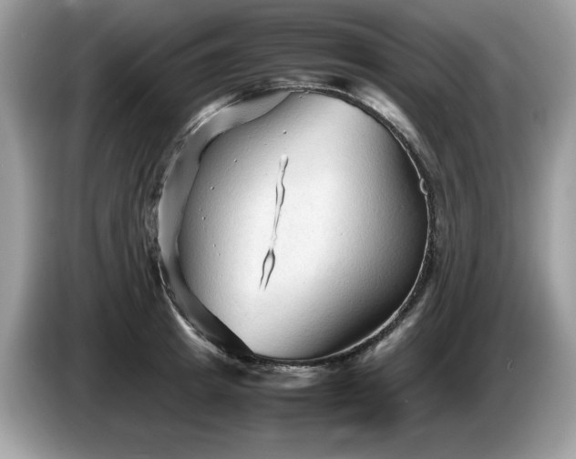 X0000087580849200704271304