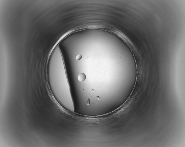 X0000087580852200704271304