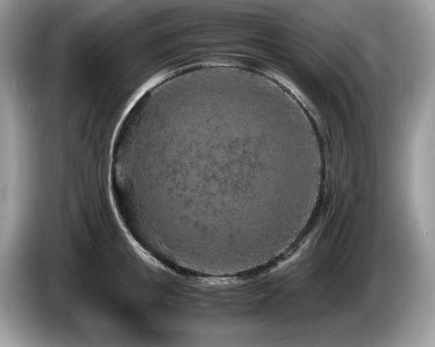 X0000087580853200704271304