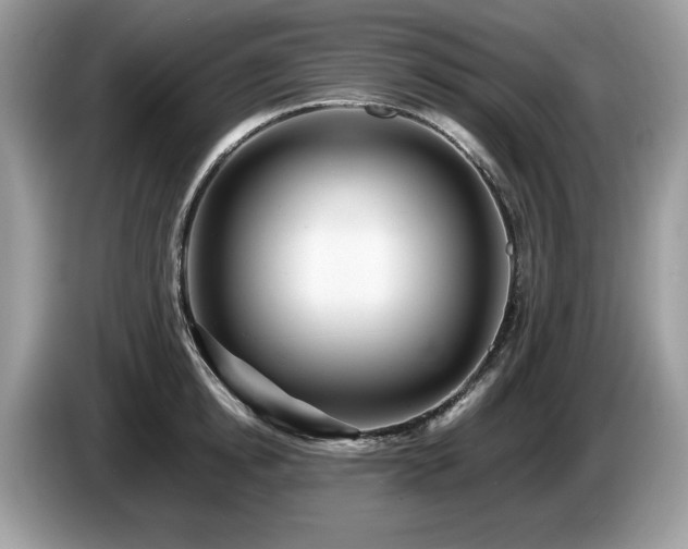 X0000087580854200704271304