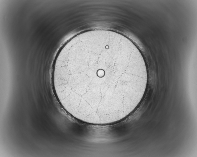 X0000087580856200704271304