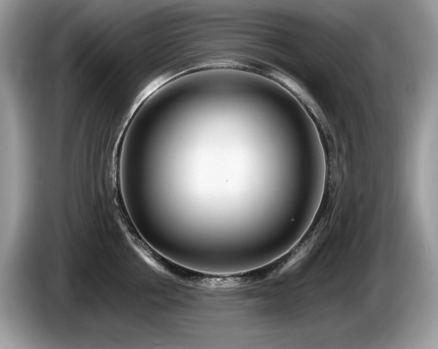 X0000087580858200704271304