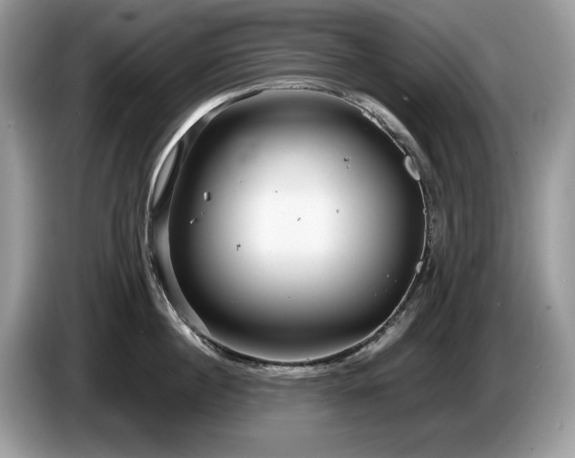X0000087580860200704271304