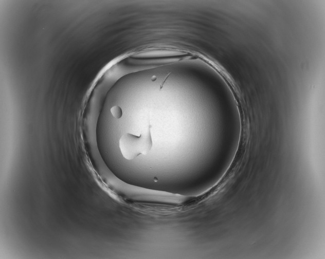 X0000087580862200704271304