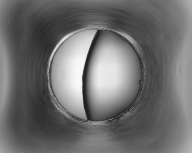 X0000087580864200704271304