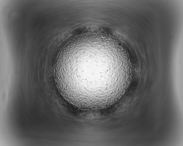 X0000087580865200704271303