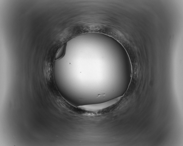 X0000087580866200704271303