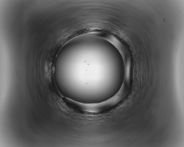 X0000087580868200704271303