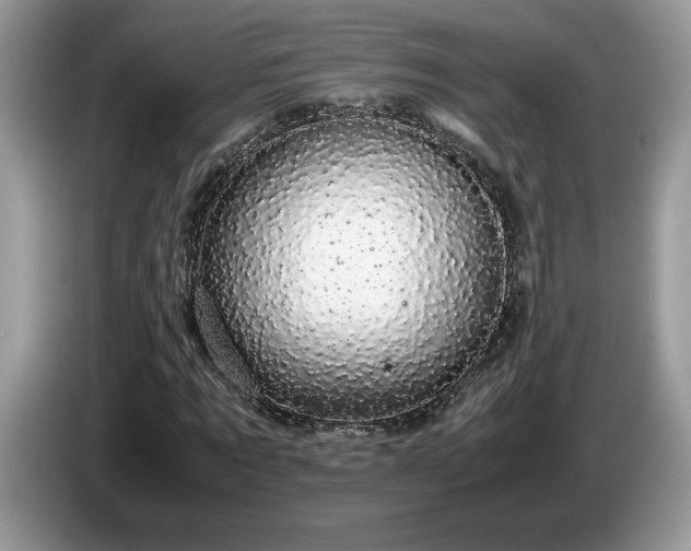 X0000087580869200704271303