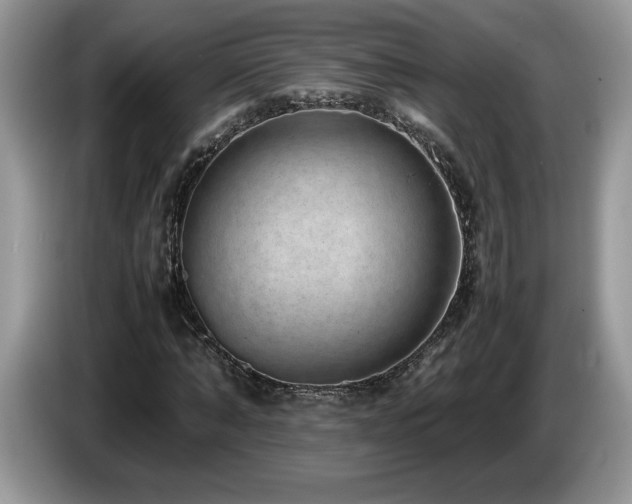 X0000087580870200704271303