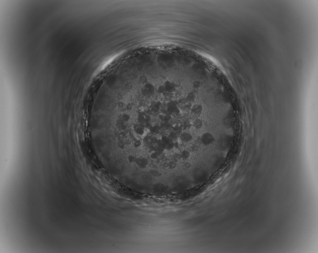 X0000087580871200704271303