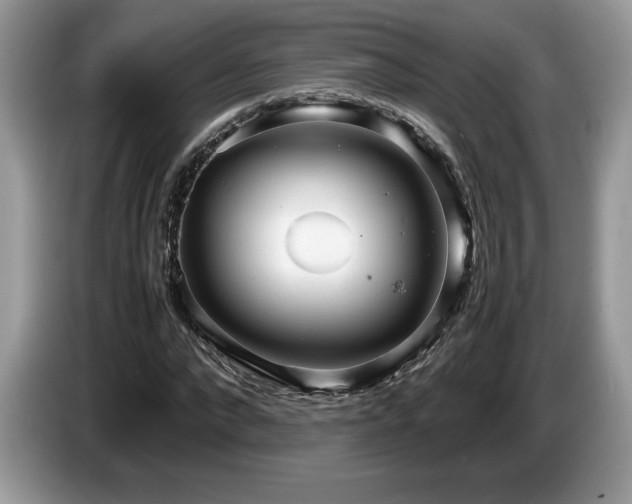 X0000087580872200704271303