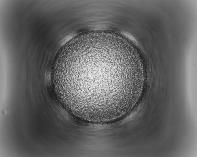X0000087580873200704271303