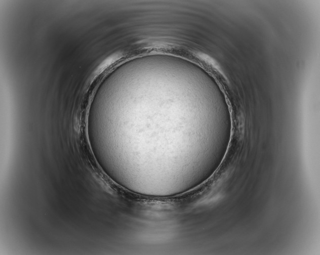 X0000087580874200704271303
