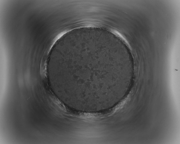 X0000087580875200704271303