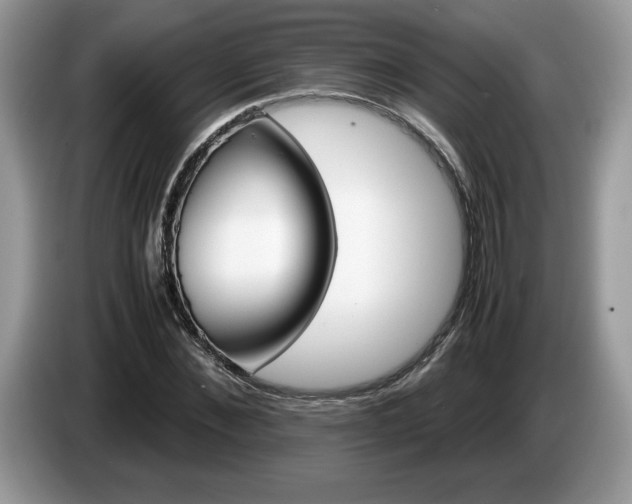 X0000087580876200704271303