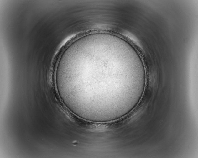 X0000087580878200704271303