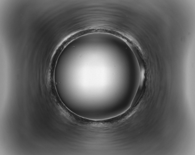 X0000087580880200704271303