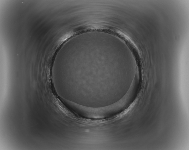 X0000087580881200704271303