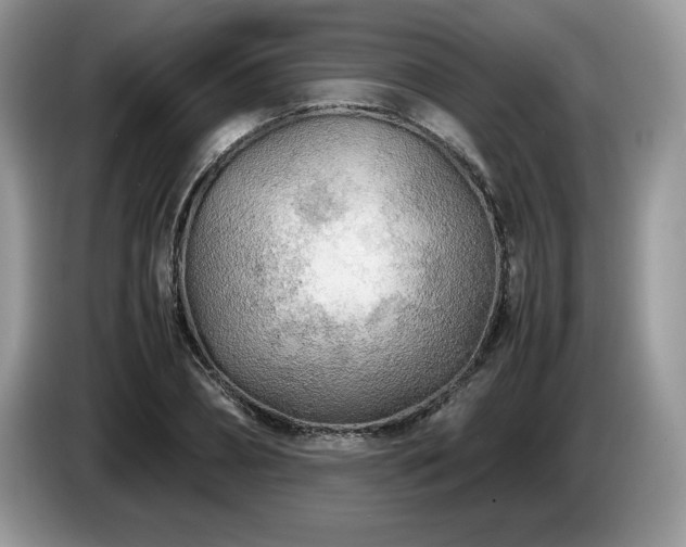X0000087580882200704271303