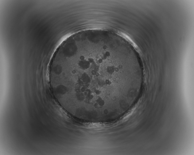 X0000087580883200704271303