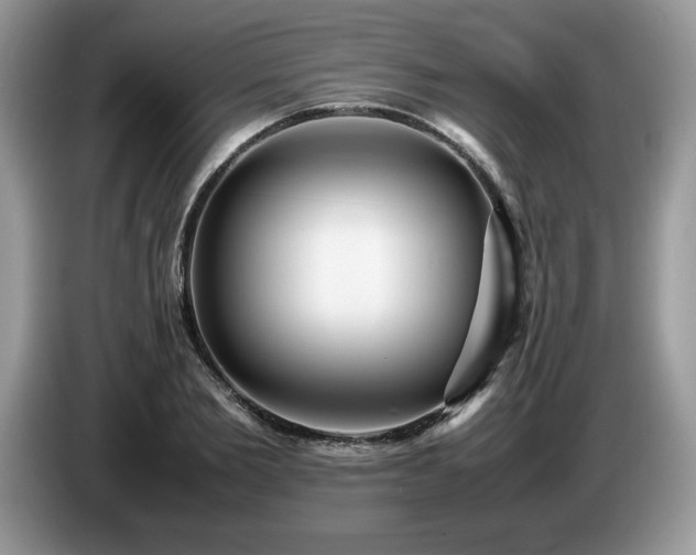 X0000087580885200704271303