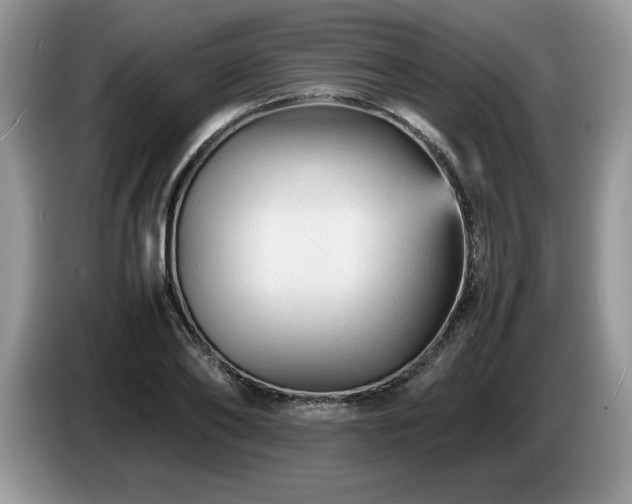 X0000087580886200704271303