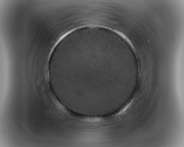 X0000087580887200704271303
