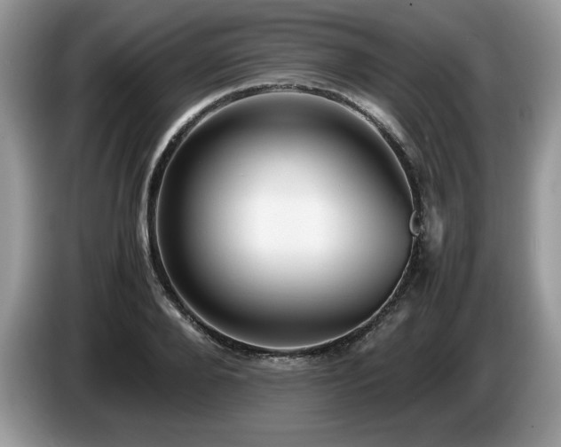 X0000087580888200704271303