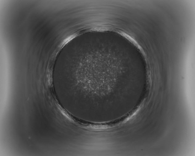 X0000087580889200704271303