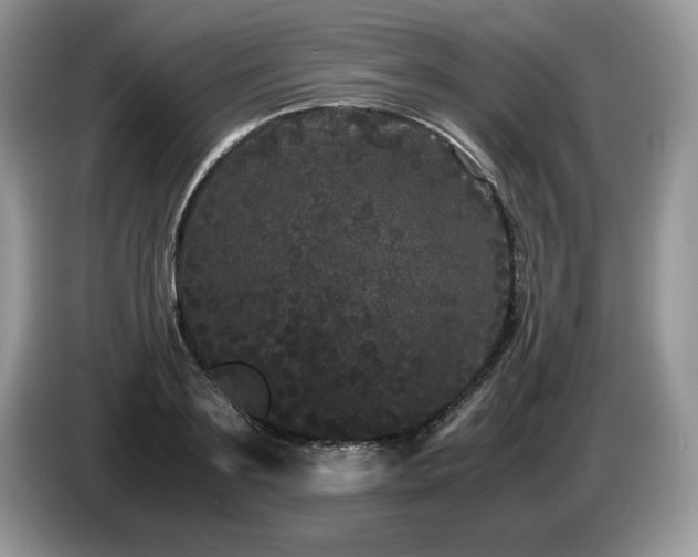 X0000087580891200704271303