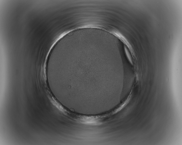X0000087580892200704271303