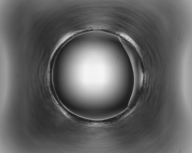 X0000087580894200704271303