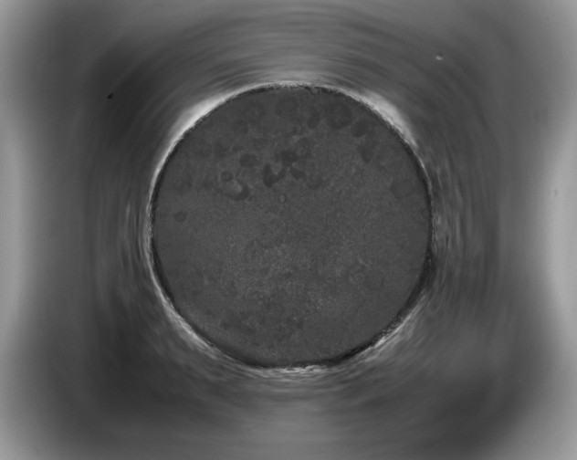 X0000087580895200704271303
