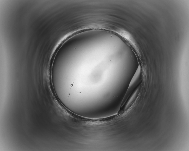 X0000087580896200704271303