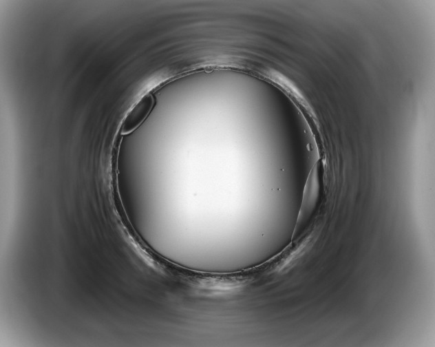 X0000087580898200704271303