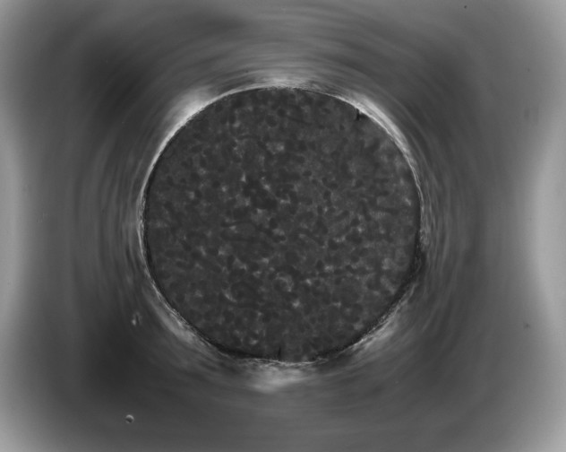 X0000087580899200704271303