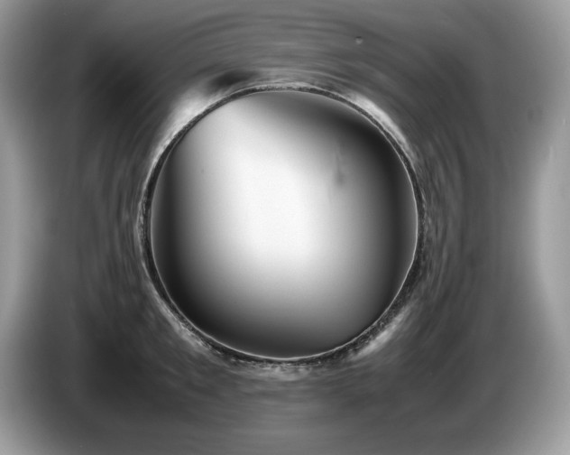 X0000087580901200704271303