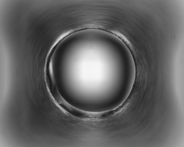 X0000087580902200704271303