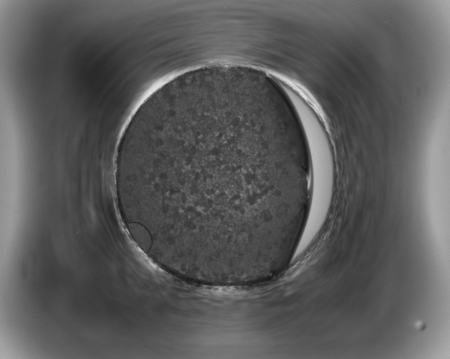 X0000087580903200704271303