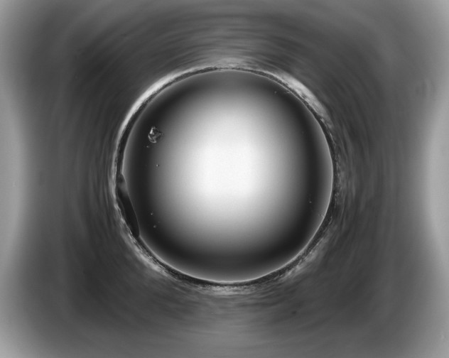 X0000087580904200704271303