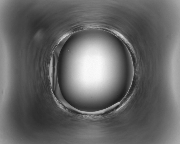 X0000087580905200704271303