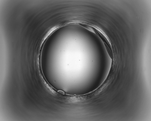 X0000087580906200704271303