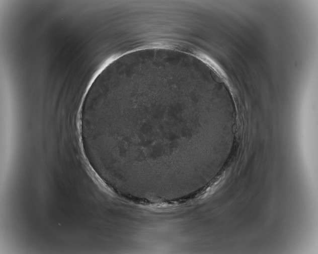 X0000087580907200704271303