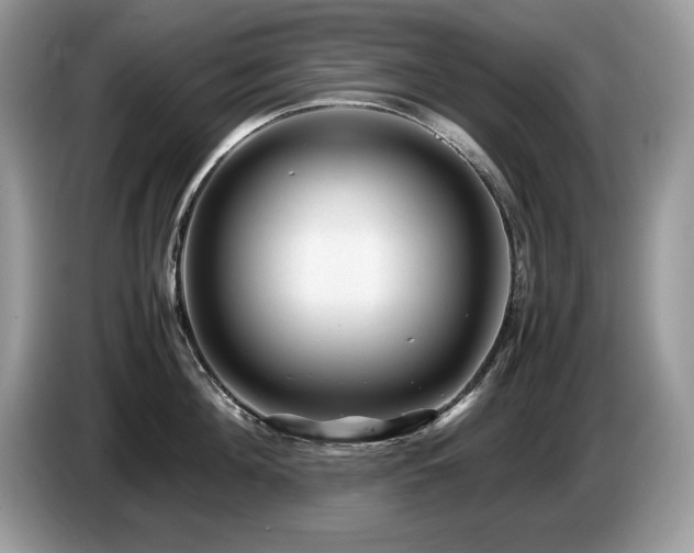 X0000087580908200704271303