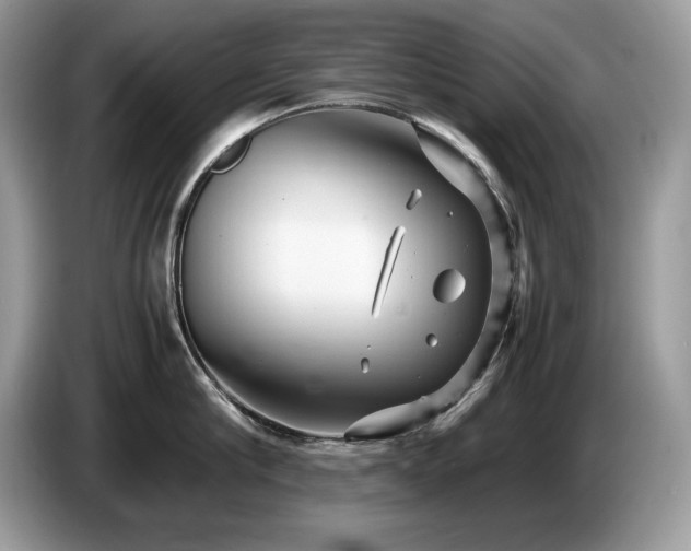 X0000087580910200704271303